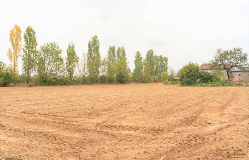 San Donà di Piave, in vendita terreni agricoli...